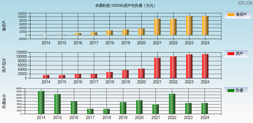 中英科技(300936)资产负债表图