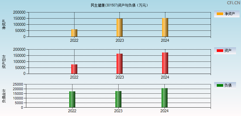 民生健康(301507)资产负债表图