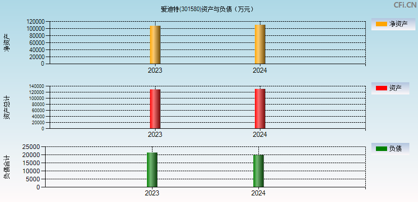 爱迪特(301580)资产负债表图