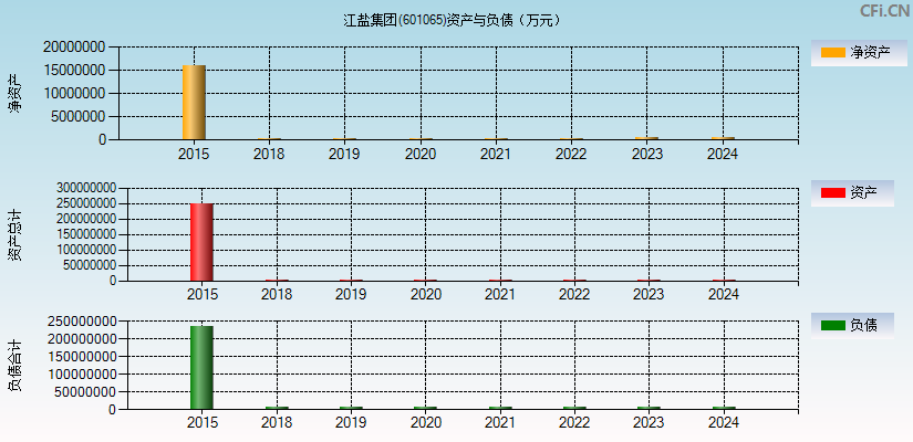 江盐集团(601065)资产负债表图