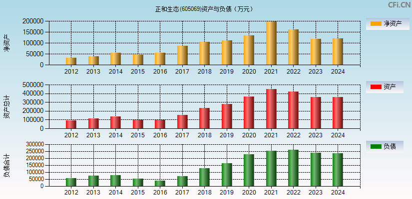 正和生态(605069)资产负债表图