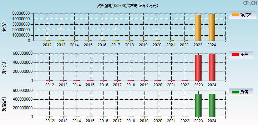 武汉蓝电(830779)资产负债表图