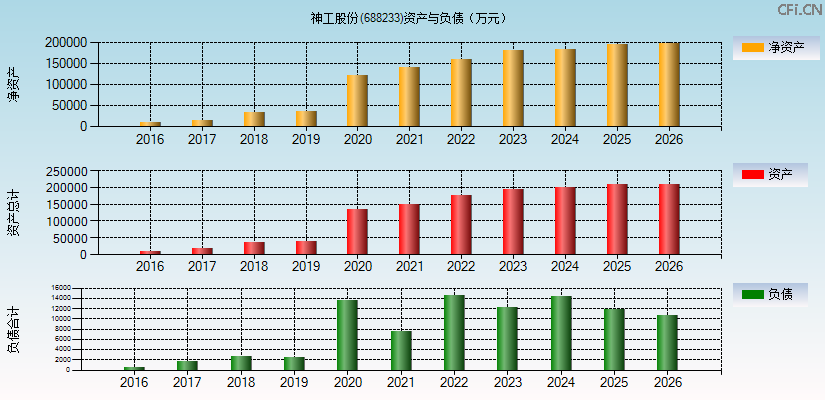 神工股份(688233)资产负债表图