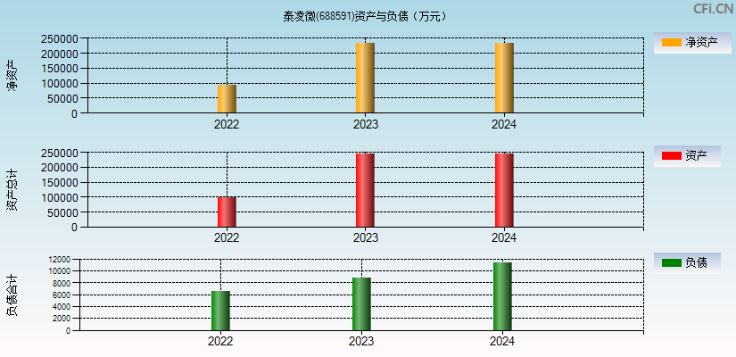 泰凌微(688591)资产负债表图