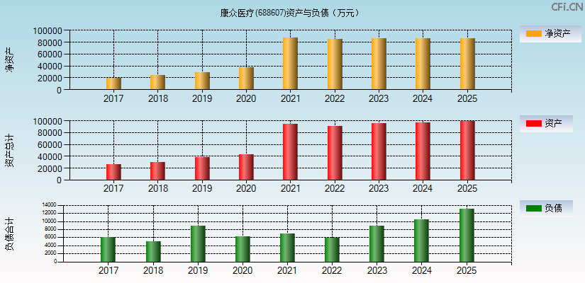 康众医疗(688607)资产负债表图