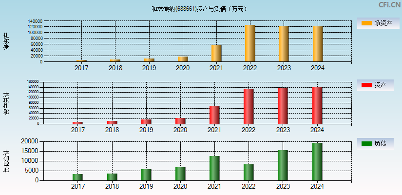 和林微纳(688661)资产负债表图