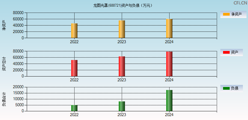 龙图光罩(688721)资产负债表图