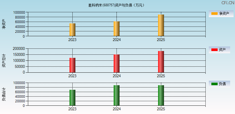 胜科纳米(688757)资产负债表图