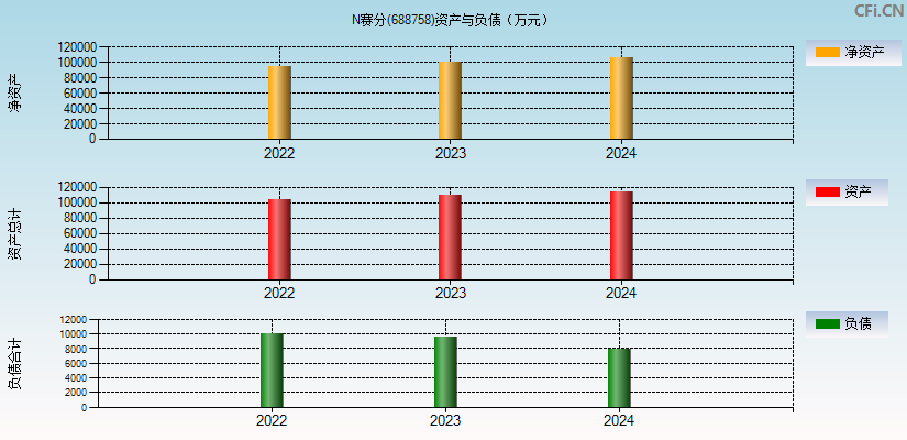 赛分科技(688758)资产负债表图