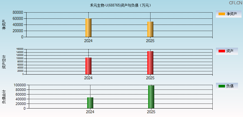 禾元生物-U(688765)资产负债表图