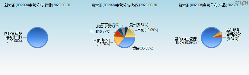 新大正(002968)主营分布图