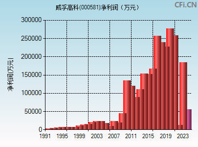 000581财务指标图