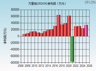 002434财务指标图