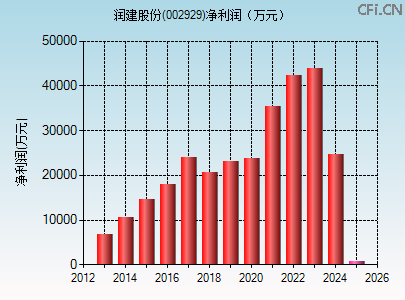 002929财务指标图
