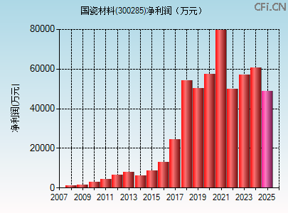300285财务指标图 300285财务指标图