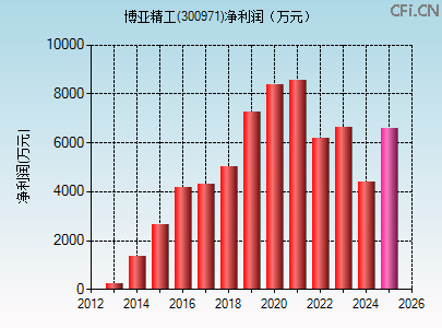 300971财务指标图