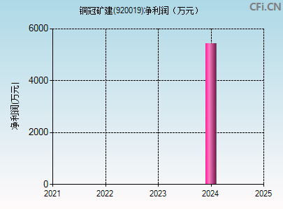 920019财务指标图