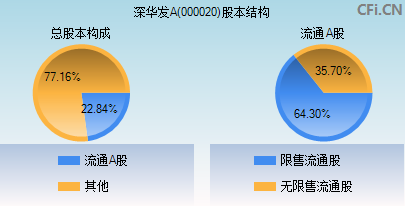 000020股本结构图