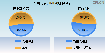 002064股本结构图