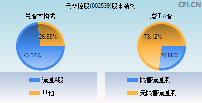 002539股本结构图