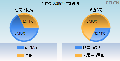 002984股本结构图