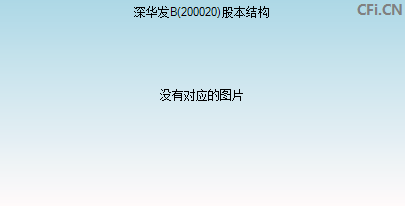 200020股本结构图