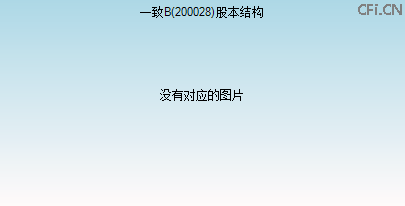200028股本结构图 200028股本结构图