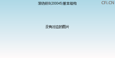 200045股本结构图 200045股本结构图