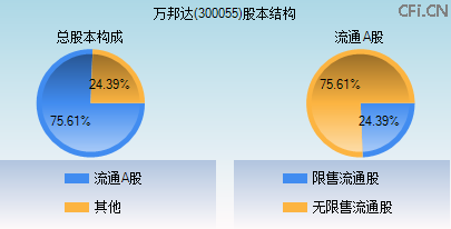300055股本结构图 300055股本结构图