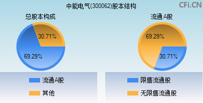 300062股本结构图 300062股本结构图