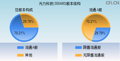 300480股本结构图 300480股本结构图