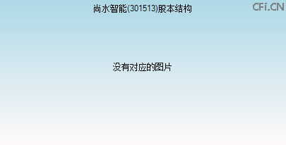 301513股本结构图