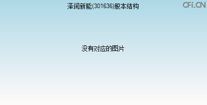 301636股本结构图