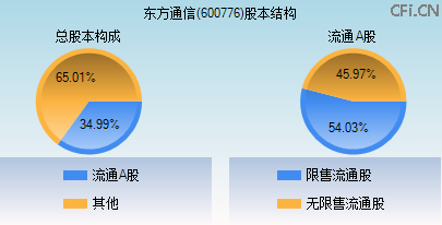 600776股本结构图 600776股本结构图