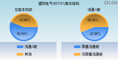 603191股本结构图