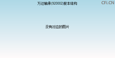 920002股本结构图