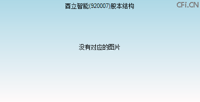 920007股本结构图
