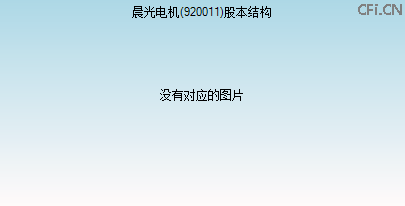 920011股本结构图