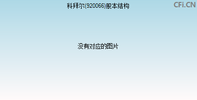 920066股本结构图 920066股本结构图