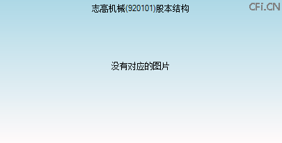 920101股本结构图 920101股本结构图