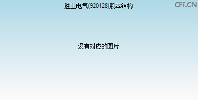 920128股本结构图 920128股本结构图