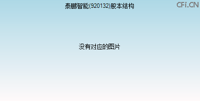 920132股本结构图 920132股本结构图