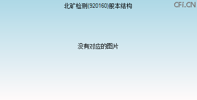 920160股本结构图 920160股本结构图