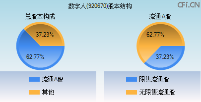 920670股本结构图
