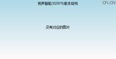 920976股本结构图