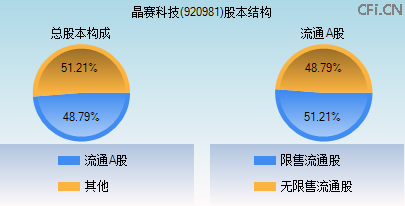 920981股本结构图