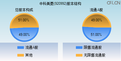 920992股本结构图