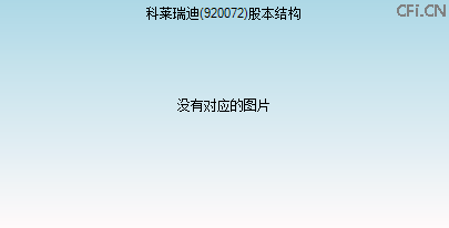 920072股本结构图 920072股本结构图
