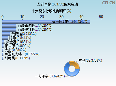 603739股东变动图