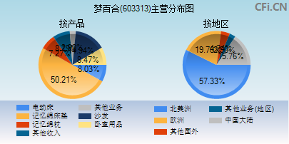 603313主营分布图